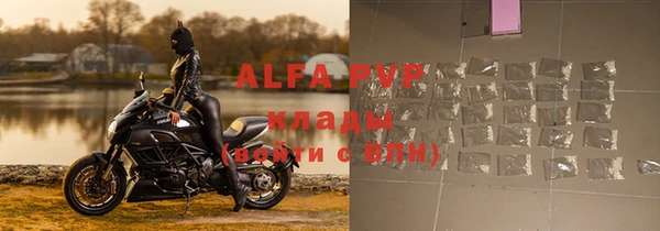 СК Алзамай